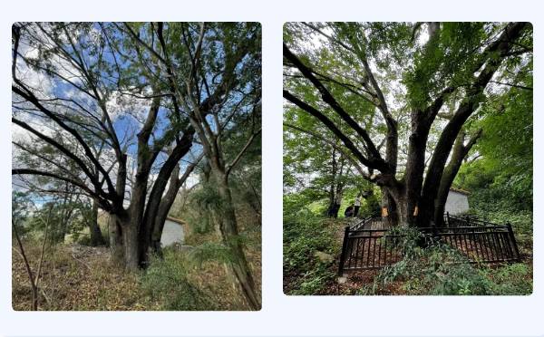 1722827223512980.png 微信图片_20240805110611 (1).png