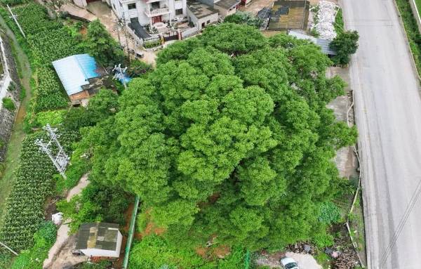 1722827234563568.jpeg 640 (1).jpeg