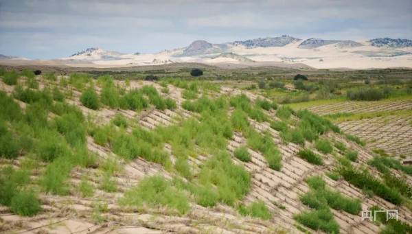 1722827503459875.jpg 222 (1).jpg