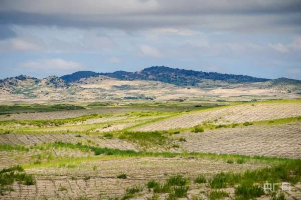 1722827517520427.jpg 333 (1).jpg