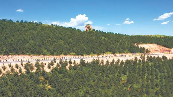 1723170995831249.jpeg 640 (2) (1).jpeg