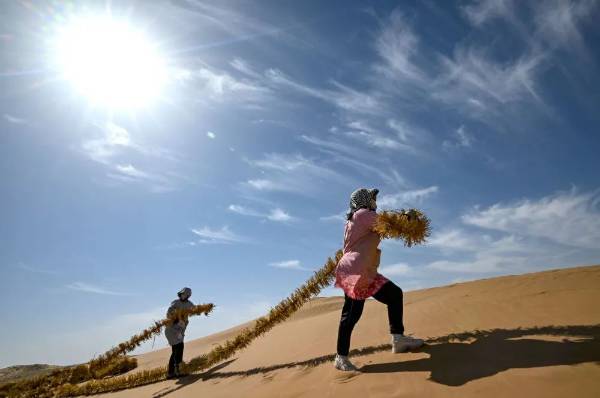 1723171519225274.jpg 1 (1).jpg