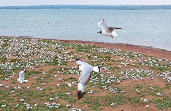 1723171543939781.jpg 2 (1).jpg