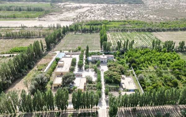 1723171576515422.jpg 3 (1).jpg