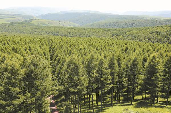 1723604511128984.jpg 2 (1).jpg