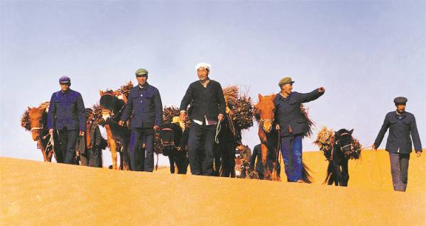 1723604527302147.jpg 3 (1).jpg