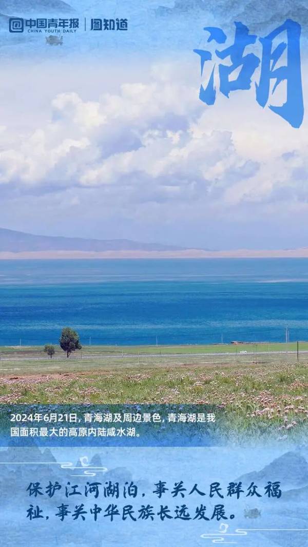 1723686192750198.jpg 6 (1).jpg