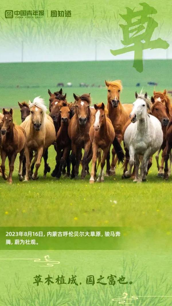 1723686196978211.jpg 7 (1).jpg