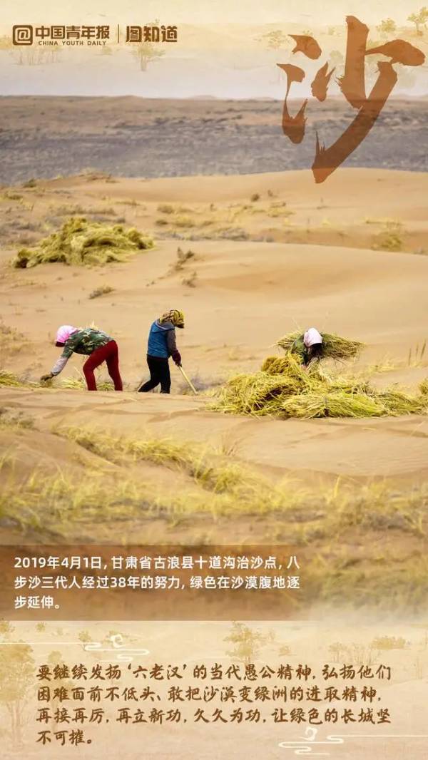 1723686200799035.jpg 8 (1).jpg