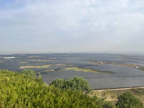 1723686390262589.jpg 2 (1).jpg