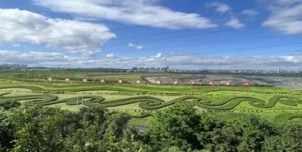 1723686397931247.jpg 3 (1).jpg