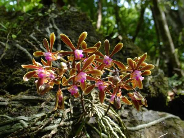 1723686413156363.jpg 5 (1).jpg