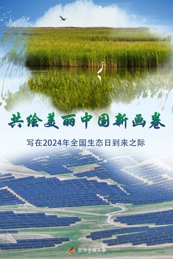 1723686892317196.jpeg 1.jpeg