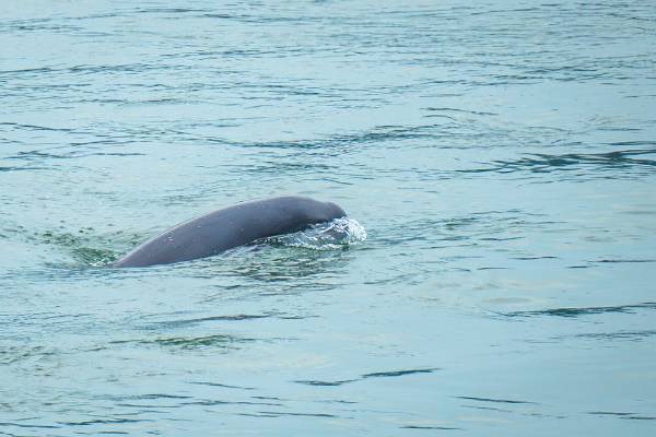 1723686949996942.jpeg 6.jpeg