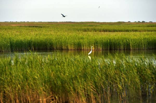 1723686956807440.jpeg 7.jpeg