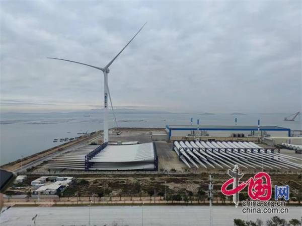 1723687189305999.jpg 1 (1).jpg