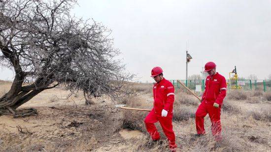 1723788197851834.jpg 1.jpg