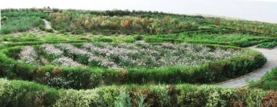 1723788205167472.jpg 2.jpg