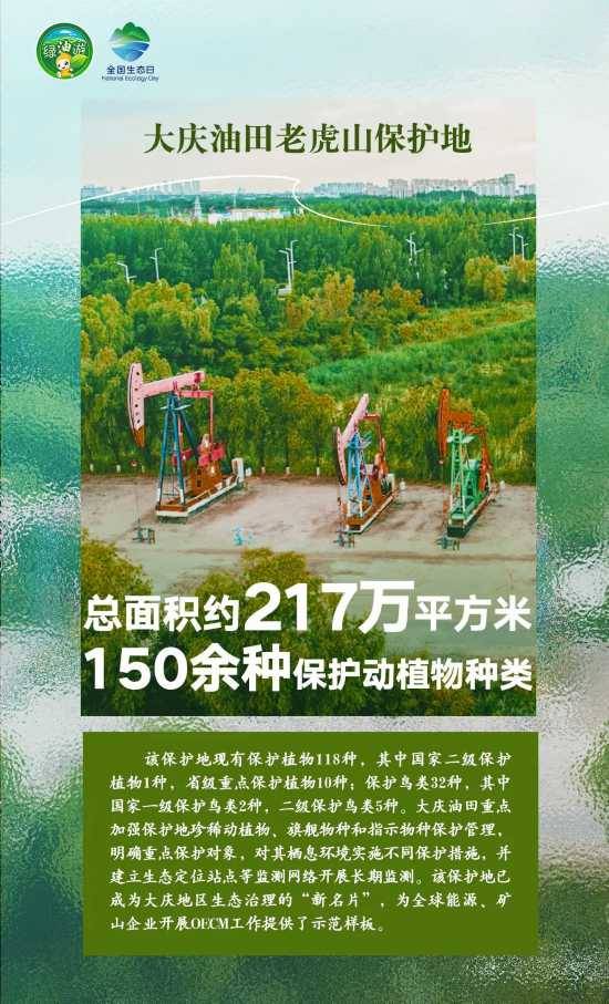 1723788253505694.jpg 4.jpg