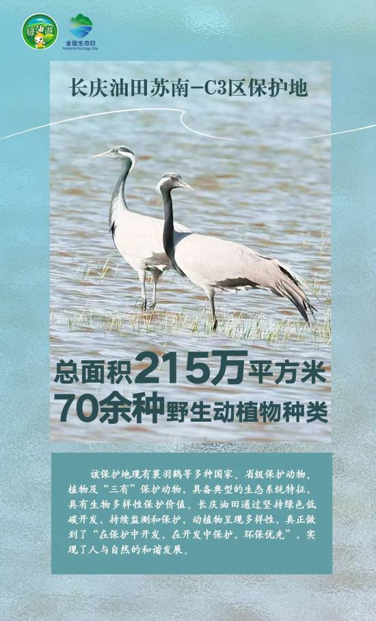 1723788258794026.jpg 5.jpg