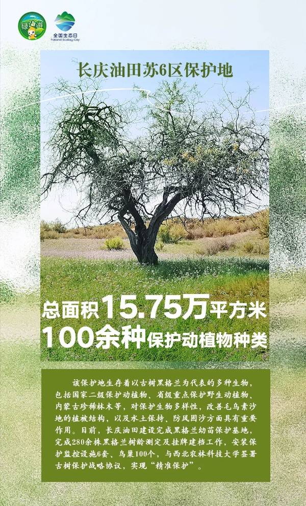 1723788262127713.jpg 1723788262127713.jpg