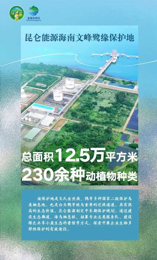 1723788275699395.jpg 8.jpg