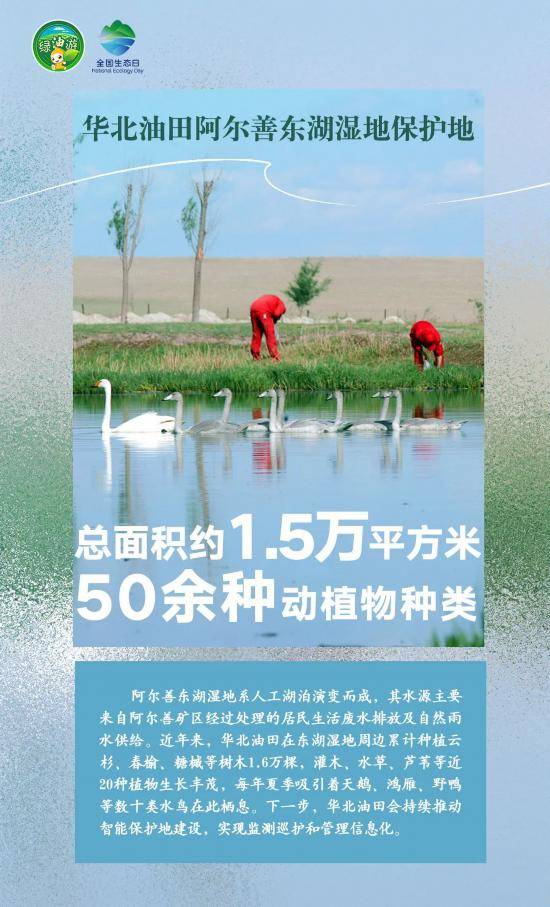 1723788283247346.jpg 9.jpg