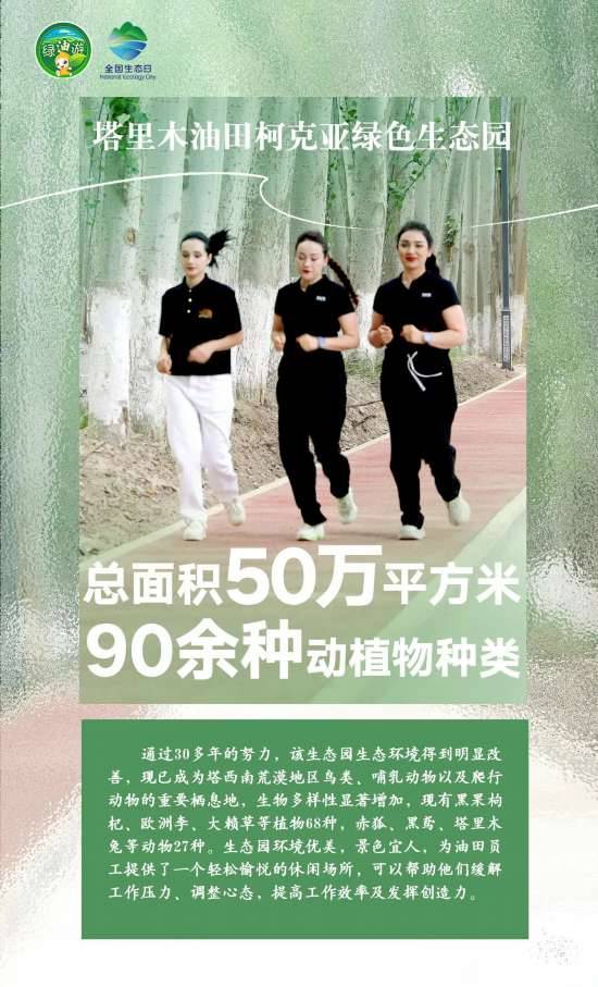 1723788300483557.jpg 12.jpg