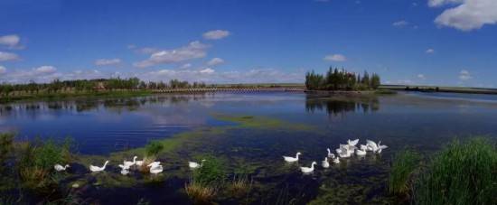 1723788309249165.jpg 1723788309249165.jpg