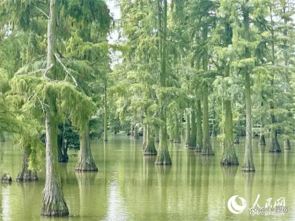 1723792900607015.jpg 2 (1).jpg