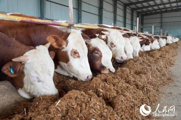 1723792921107322.jpg 4 (1).jpg