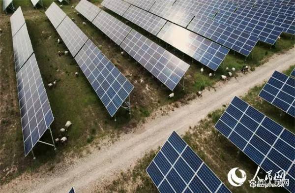 1723792940508606.jpg 6 (1).jpg