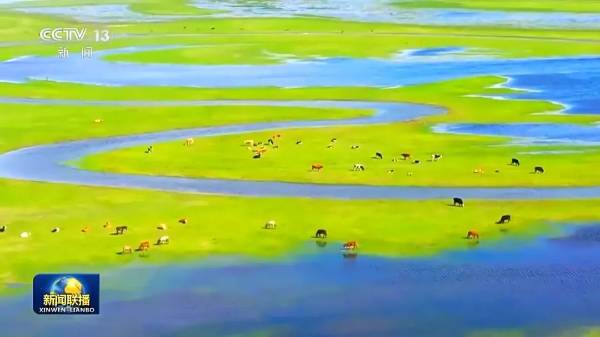 1723793183196221.jpg 1.jpg