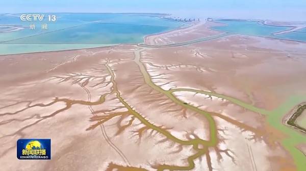 1723793200645436.jpg 3.jpg