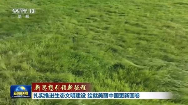 1723793221179750.jpg 6.jpg