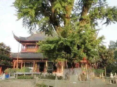 1723795380178491.jpg 1723795380178491.jpg