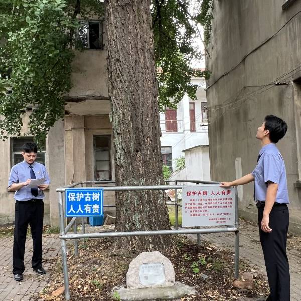 1723795405602714.jpg 2.jpg