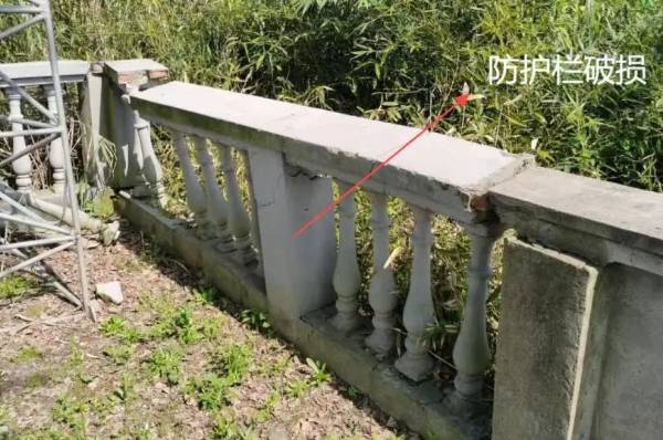 1723795459964958.jpg 4.jpg