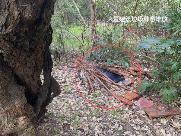 1723795471754955.jpg 6.jpg