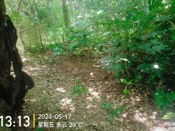 1723795474398651.jpg 7.jpg