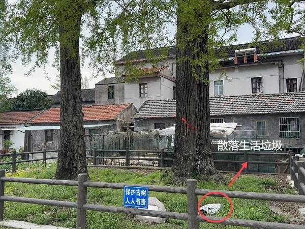 1723795480631474.jpg 8.jpg