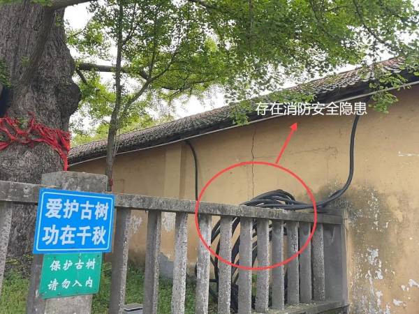 1723795499586267.jpg 10.jpg