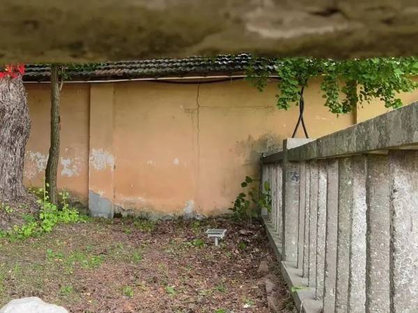 1723795505793711.jpg 11.jpg