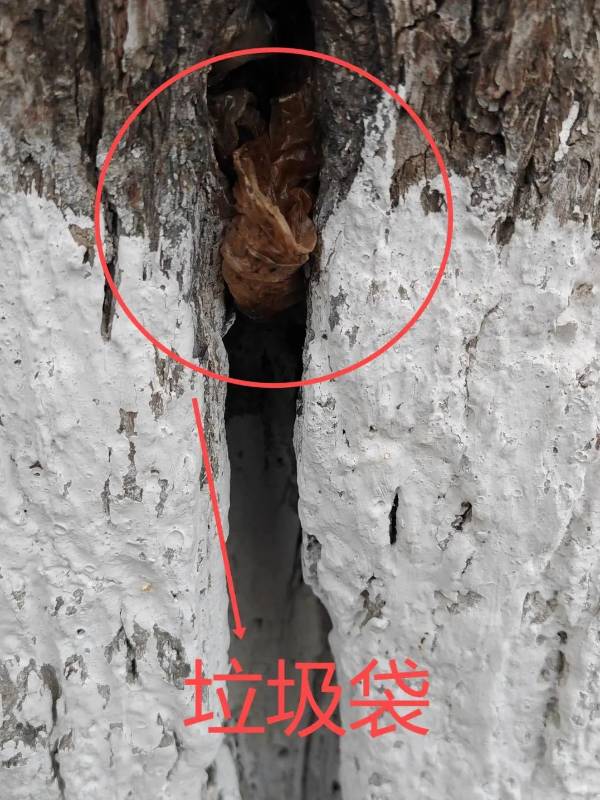 1723795516403970.jpg 12.jpg