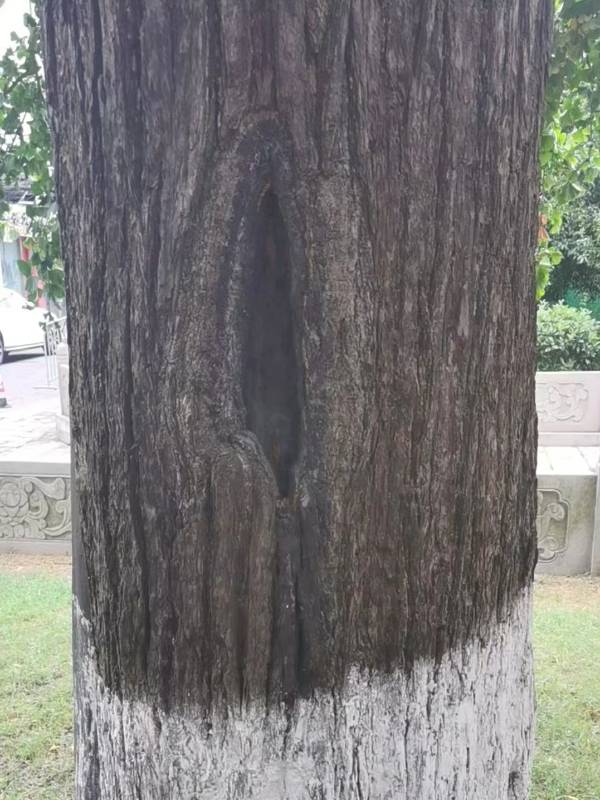 1723795520737147.jpg 13.jpg