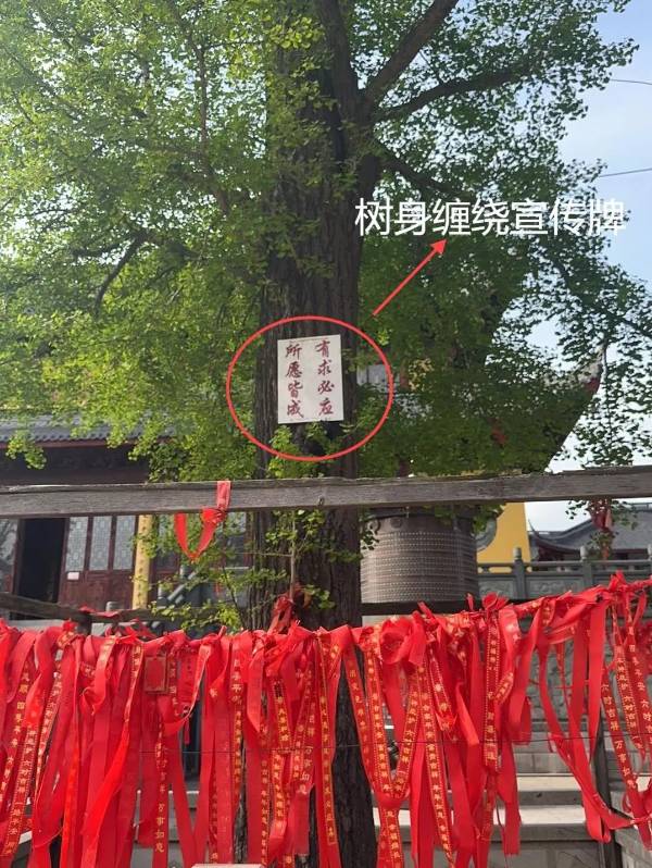 1723795585836970.jpg 14.jpg