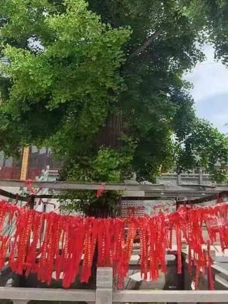 1723795589621912.jpg 1723795589621912.jpg