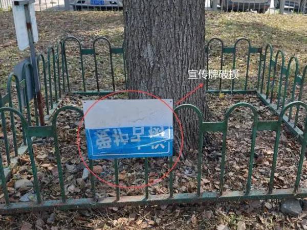 1723795603973280.jpg 16.jpg