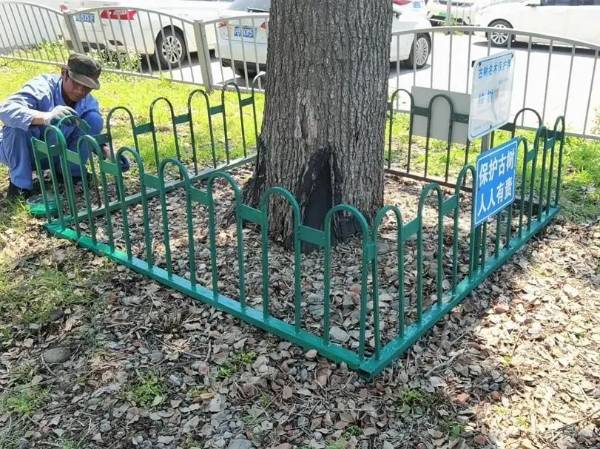 1723795607525381.jpg 17.jpg