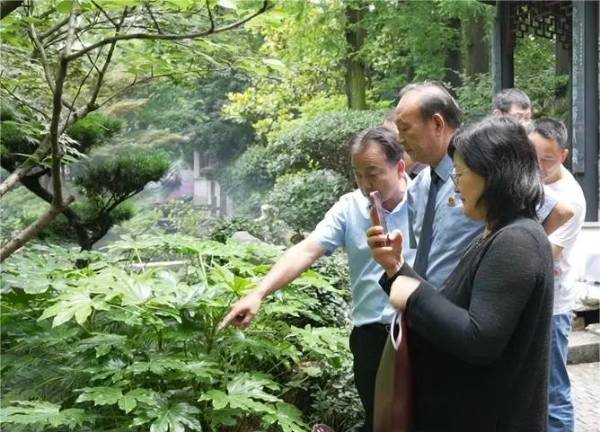 1723795623305676.jpg 20.jpg